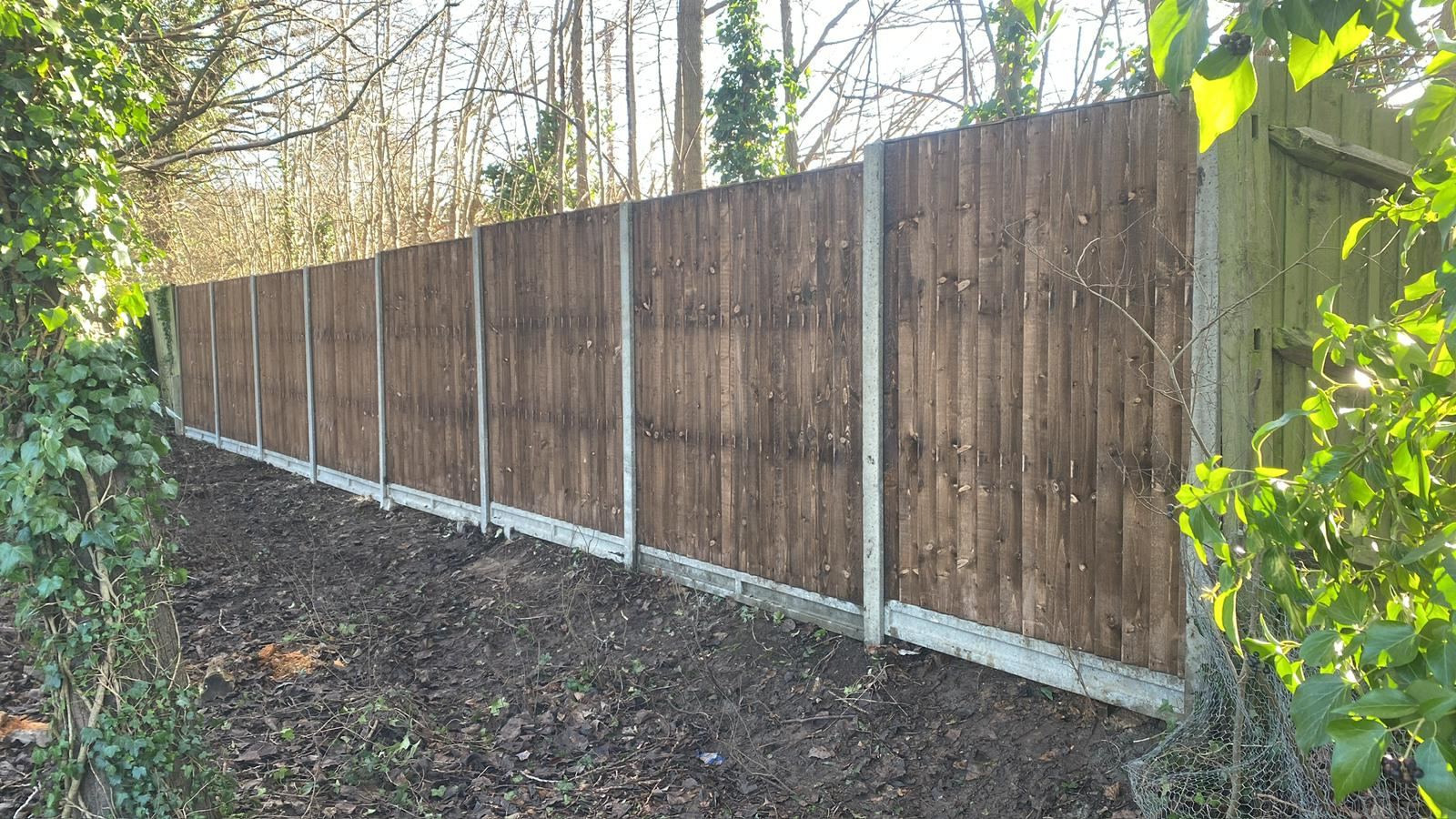 Fence line fitted along a wooded garden boundary