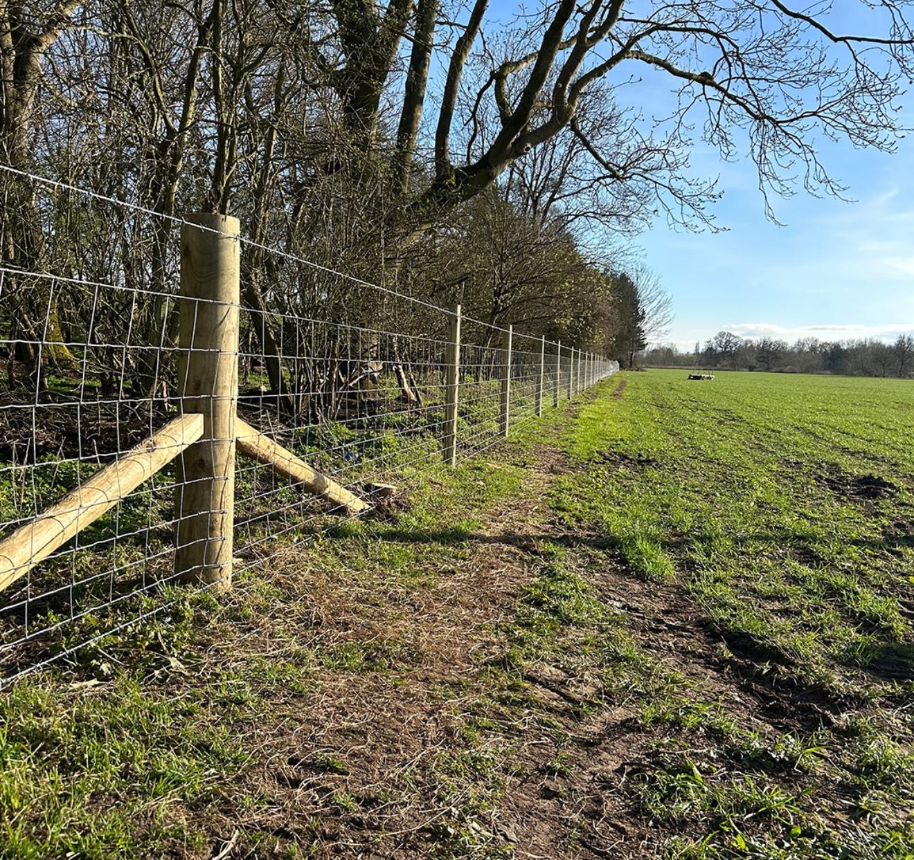 Agricultural Fencing